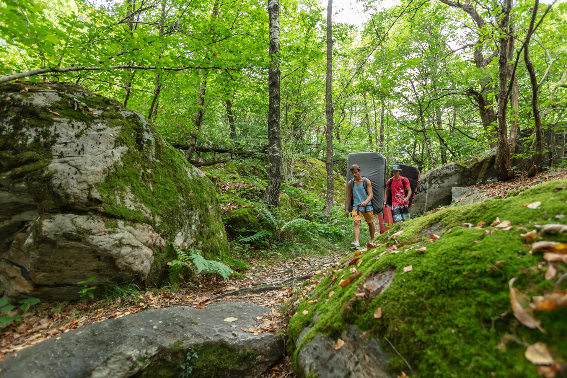 Scopri le attivit disponibili nella Valle Verzasca